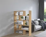 Regál Karol 1