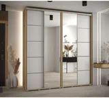 Skriňa s posuvnými dverami so zrkadlom Davos 5 220 cm 45 cm hĺbky