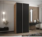 Skriňa s posuvnými dverami Lux 1 110