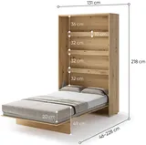 Sklápacia posteľ vertikálna 120 Bed Concept