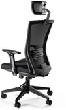 Otočné kreslo Ergonic