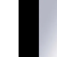 Skriňa s posuvnými dverami so zrkadlom Davos 11 130 cm 60 cm Biela Čierna