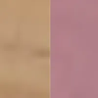 Predsieň Miro Ružová