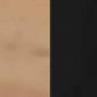 Predsieň Miro Čierna