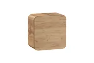 Závěsná skříňka Aruba Craft