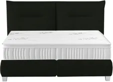 Postel 160 Fog