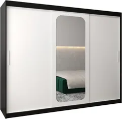Szafa przesuwna z lustrem Promo T2 250