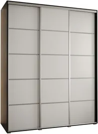 Vysoká šatní skříň s posuvnými dveřmi Davos 4 190, hloubka 60 cm, výška 235,2 cm