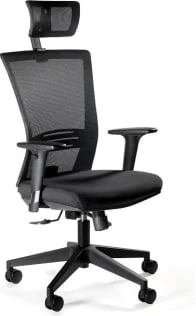 Fotel Ergonic