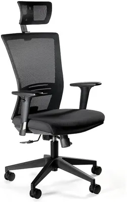 Otočné kreslo Ergonic