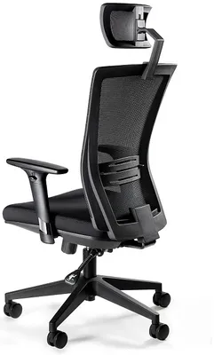 Otočné kreslo Ergonic