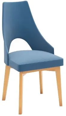 Čalúnená stolička XV