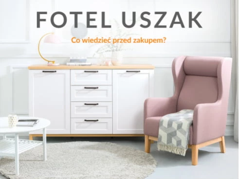Fotel Uszak – co wiedzieć przed zakupem?