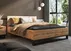 Postel 160 Halle