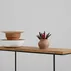 Konsola 100 Walt Solid Wood