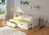Postel Tomi 200
