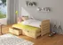 Postel Tomi 200