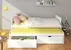 Postel Tomi 200