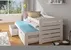 Postel Tomi 200