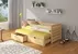 Postel Tomi 200