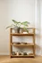 Regál Ludza