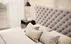 Postel 180 Princce