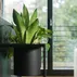 Velký stojan s květináči do obývacího pokoje Flora
