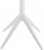 Wieszak Ascot