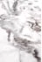 Zestaw eleganckich ław Farmosa biały marmur-czarny