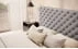 Postel 140 Princce