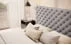Postel 160 Princce